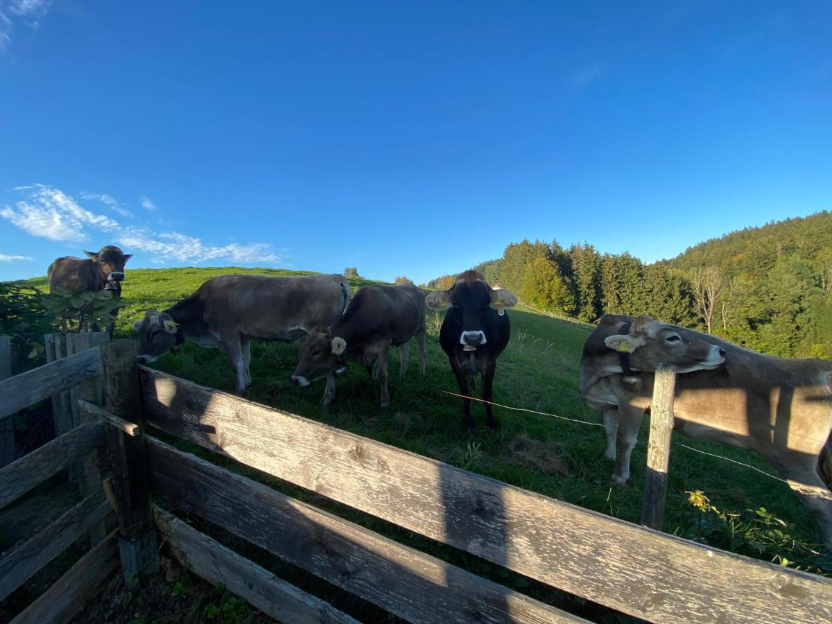 Ferienwohnung Bergblick Wangen Im Allgaeu Mit Garten, 2022 Komplett Renoviert Екстериор снимка